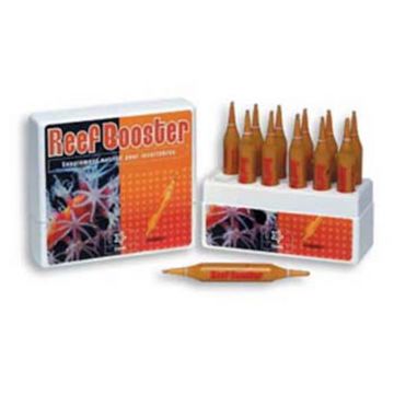 Bacterii Prodibio Reef Booster - Reef Booster 12 fiole