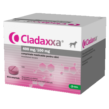 Cladaxxa 400mg 100mg 10 comprimate masticabile Cladaxxa 400mg 100mg 10 comprimate masticabile