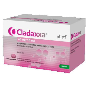 Cladaxxa 40mg 10mg caini si pisici 10 comprimate masticabile Cladaxxa 40mg 10mg caini si pisici 10 comprimate masticabile