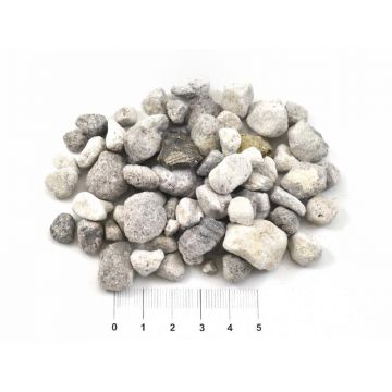 Material filtrant biologic Seachem Matrix 1l vrac