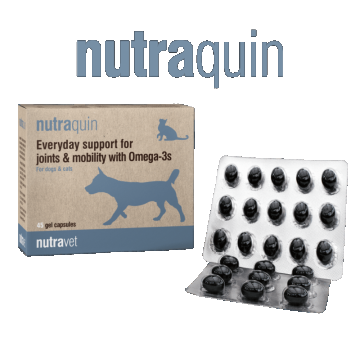 Nutravet Nutraquin, Caini & Pisici, 45 capsule moi
