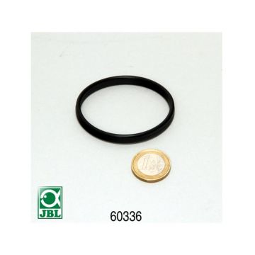 O-ring Cilindru JBL AquaCristal