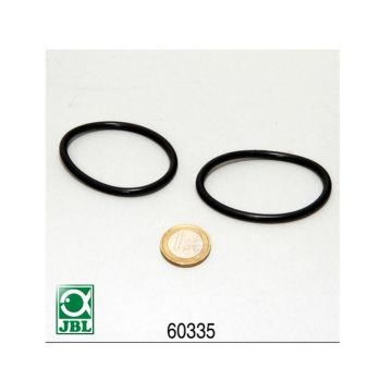 O-ring pentru JBL AquaCristal