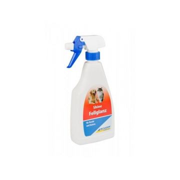 SHINE SPRAY, 500 ml