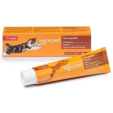 Vigorpet Pasta, Supliment Nutritiv Pisici, 50 g