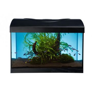 Acvariu cu led Diversa StartUp 60 Negru 54l