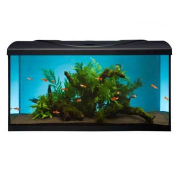 Acvariu Diversa 80 112l