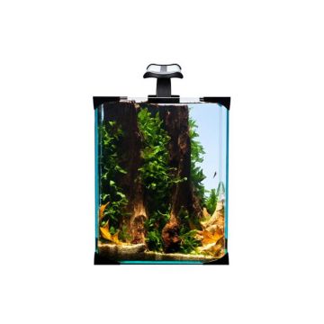 Acvariu set Diversa NanoLED set 10
