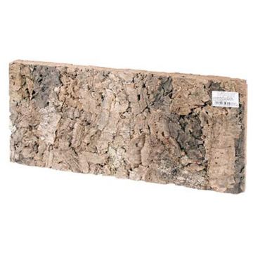 Background Hobby din pluta Burma 60x30