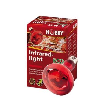 Bec halogen Hobby incalzire cu infrarosu ECO 70W