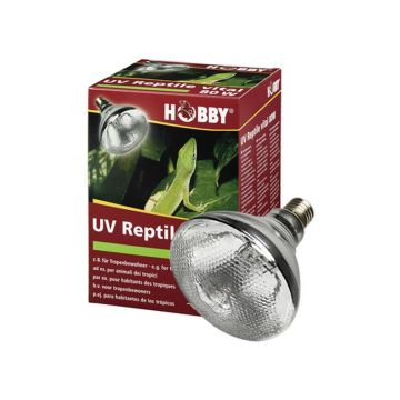 Bec Hobby UV-Reptile vital 160 W
