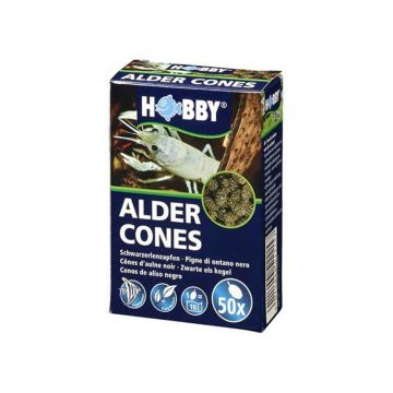 Conuri de arin Hobby