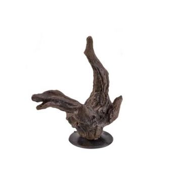 Decor Hobby Aqua Branch 1 cu ventuza