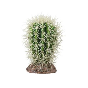 Decor Hobby Cactus Great Basin