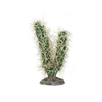 Decor Hobby Cactus Simpson