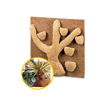 Decor natural Hobby Coconut Module