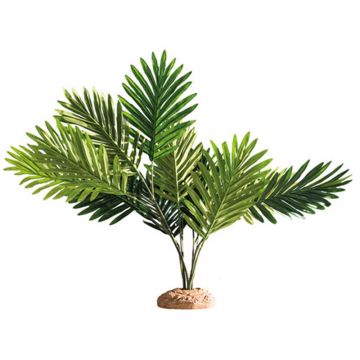 Decor palmier Hobby Palm