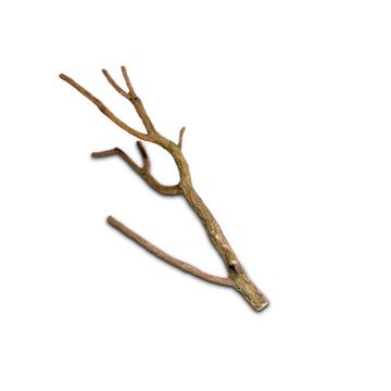 Decor ramura naturala Hobby Cork Branch L 75-100cm