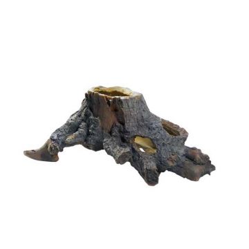 Decor terariu Hobby buturuga gaurita 30x15x22cm