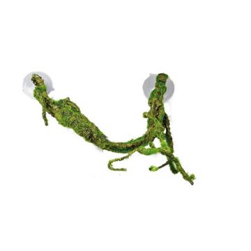 Decor terariu Hobby Liana S 50x5cm