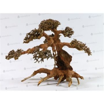Lemn Aq귬o Aqua-Bonsai L 30-40 cm