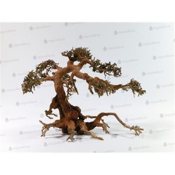 Lemn Aq귬o Aqua-Bonsai M 23-30 cm