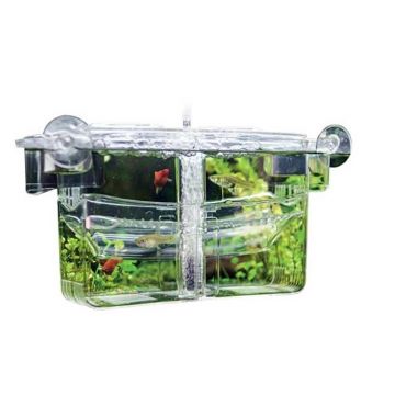 Maternitate Hobby Nido 4 cu 2 compartimente si aerare