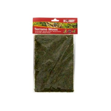 Muschi natural Hobby Terrano Natural Moss 100g