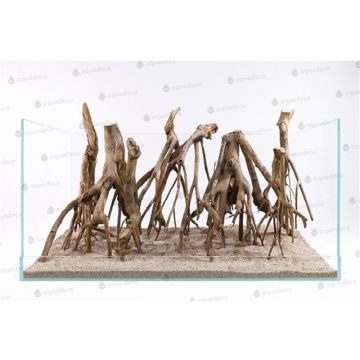 Radacina Aq귬o Talawa Wood 30-45 cm