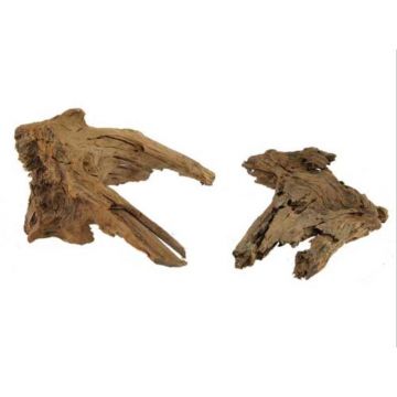 Radacina de mangrove Hobby L 40-55 cm