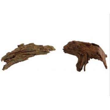 Radacina de mangrove Hobby S 15-25 cm