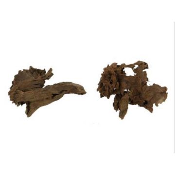 Radacina de mangrove Hobby XS 12-16 cm