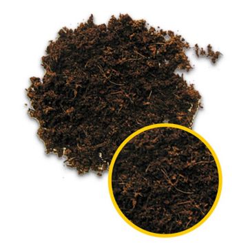 Substrat terariu Hobby Terrano Forest 4l