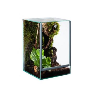 Terariu sticla nano Diversa 15x15x20cm