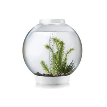 Acvariu Oase biOrb CLASSIC 30 LED alb