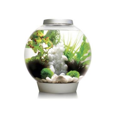 Acvariu Oase biOrb CLASSIC 30 LED argintiu