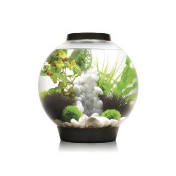 Acvariu Oase biOrb CLASSIC 30 LED negru