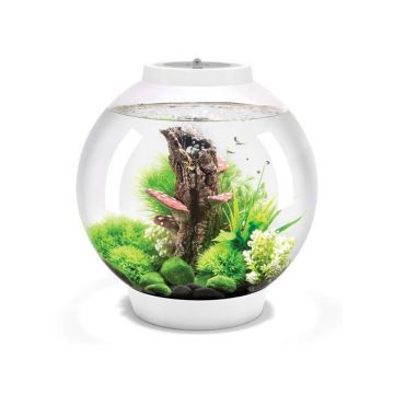 Acvariu Oase biOrb CLASSIC 60 LED Thermo alb
