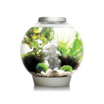Acvariu Oase biOrb CLASSIC 60 LED Thermo argintiu