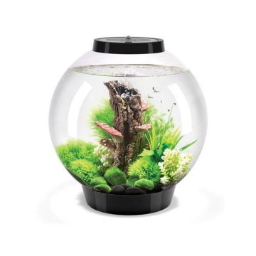 Acvariu Oase biOrb CLASSIC 60 LED Thermo negru
