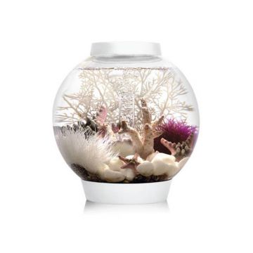 Acvariu Oase biOrb CLASSIC 60 MCR alb