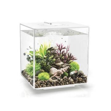 Acvariu Oase biOrb CUBE 30 LED transparent