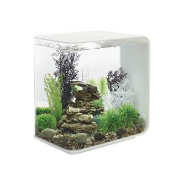 Acvariu Oase biOrb FLOW 30 LED alb