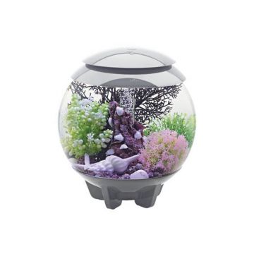 Acvariu Oase biOrb HALO 60 MCR gri