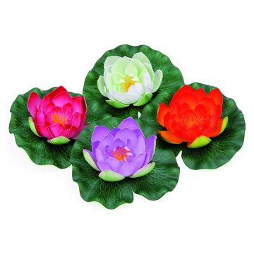 Decor 4 crini Pontec PondoLily