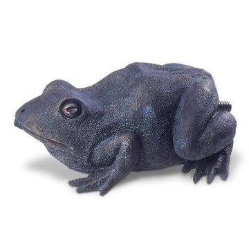 Decor broasca Pontec Water Spout Frog