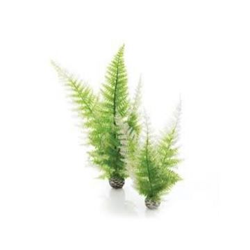 Decor feriga Oase biOrb Aquatic winter fern set 2 bucati