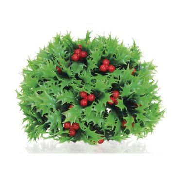 Decor fructe de padure Oase biOrb