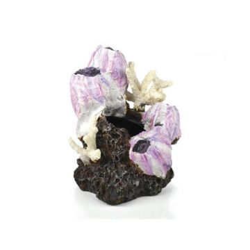 Decor grup scoici Oase biOrb Barnacle roz S