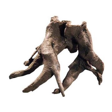 Decor Hobby Backwall Root 1